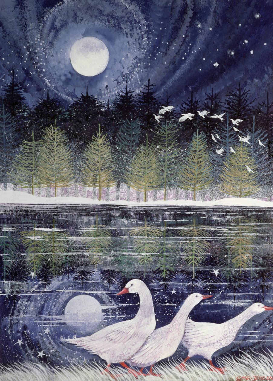 Snow Geese, 1995 (tinta acrílica, guache) de Lisa Graa Jensen