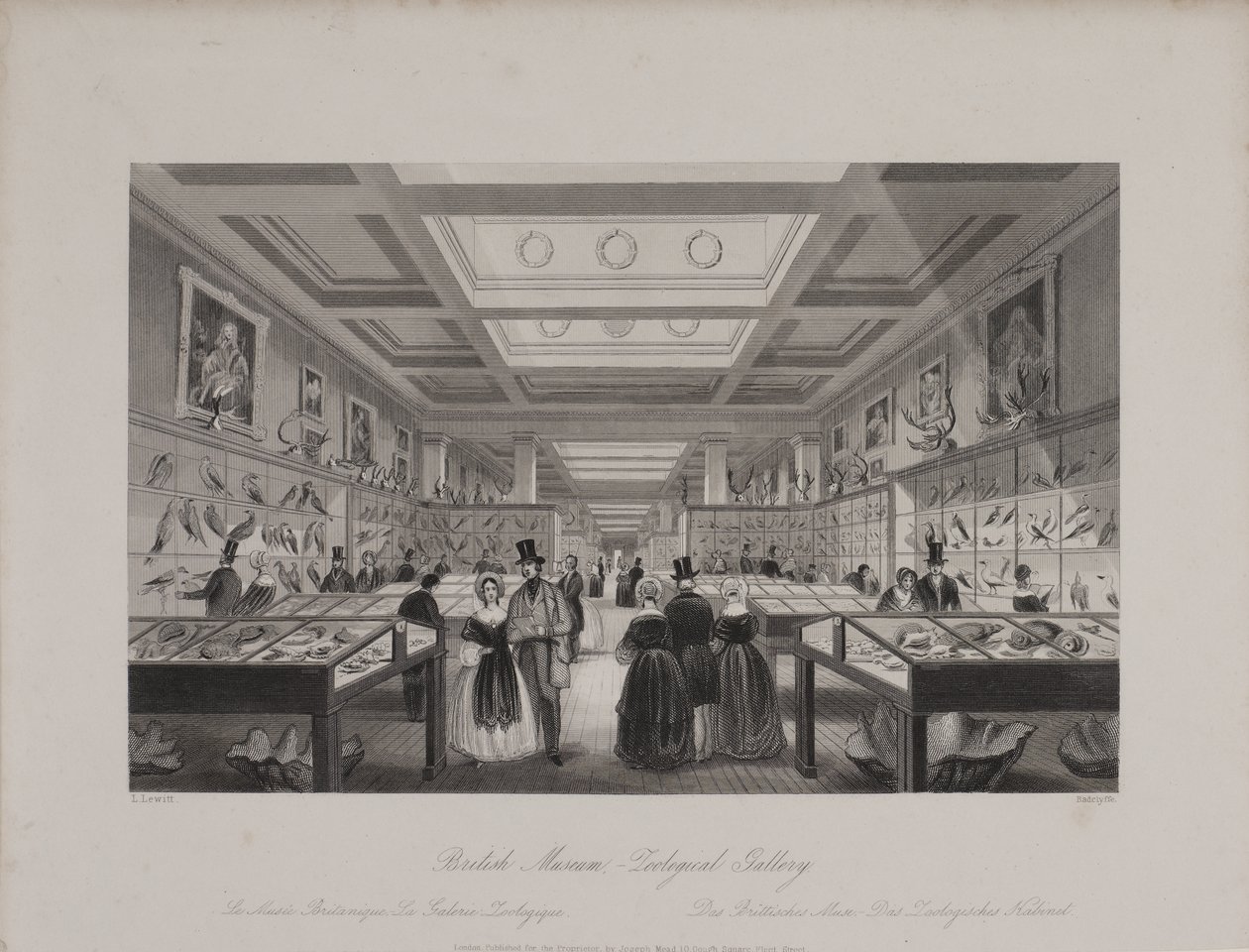Vista da Galeria Zoológica, Museu Britânico mostrando os visitantes olhando para exposições, c.1850 (gravura) de Llewellyn (after) Jewitt