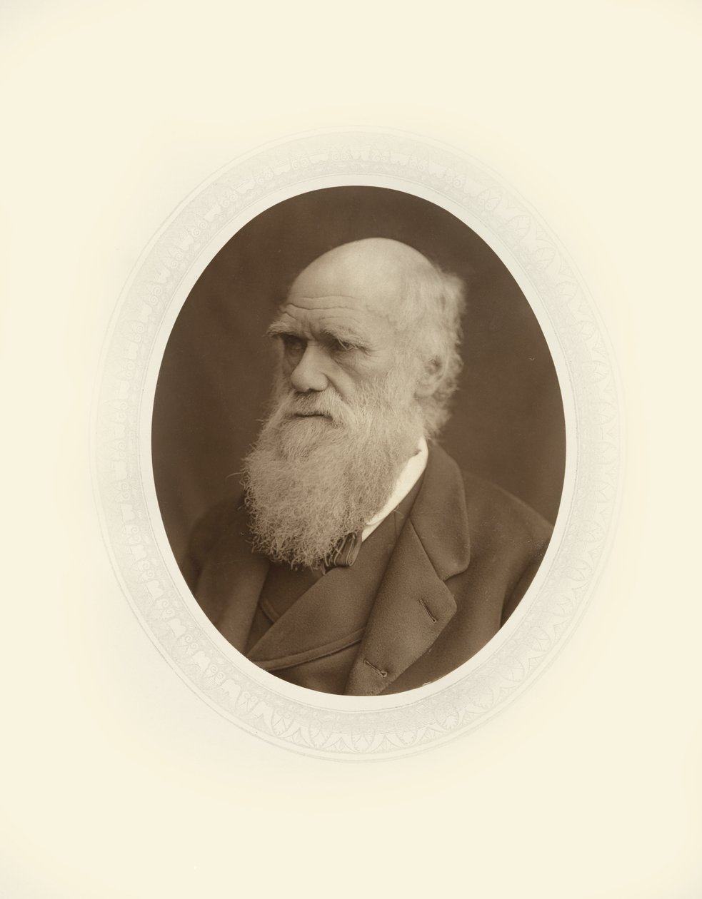Charles Robert Darwin de Lock and Whitfield
