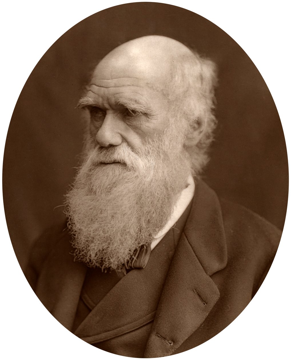 Charles Darwin, 1878. de Lock and Whitfield