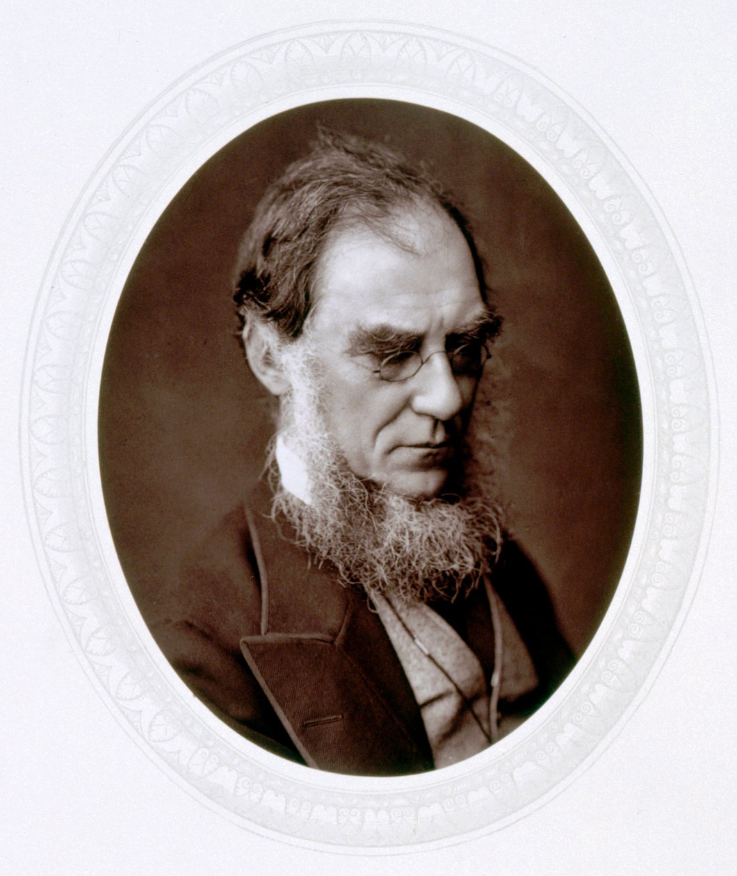 Joseph Dalton Hooker, botânico inglês, c1880 de Lock and Whitfield