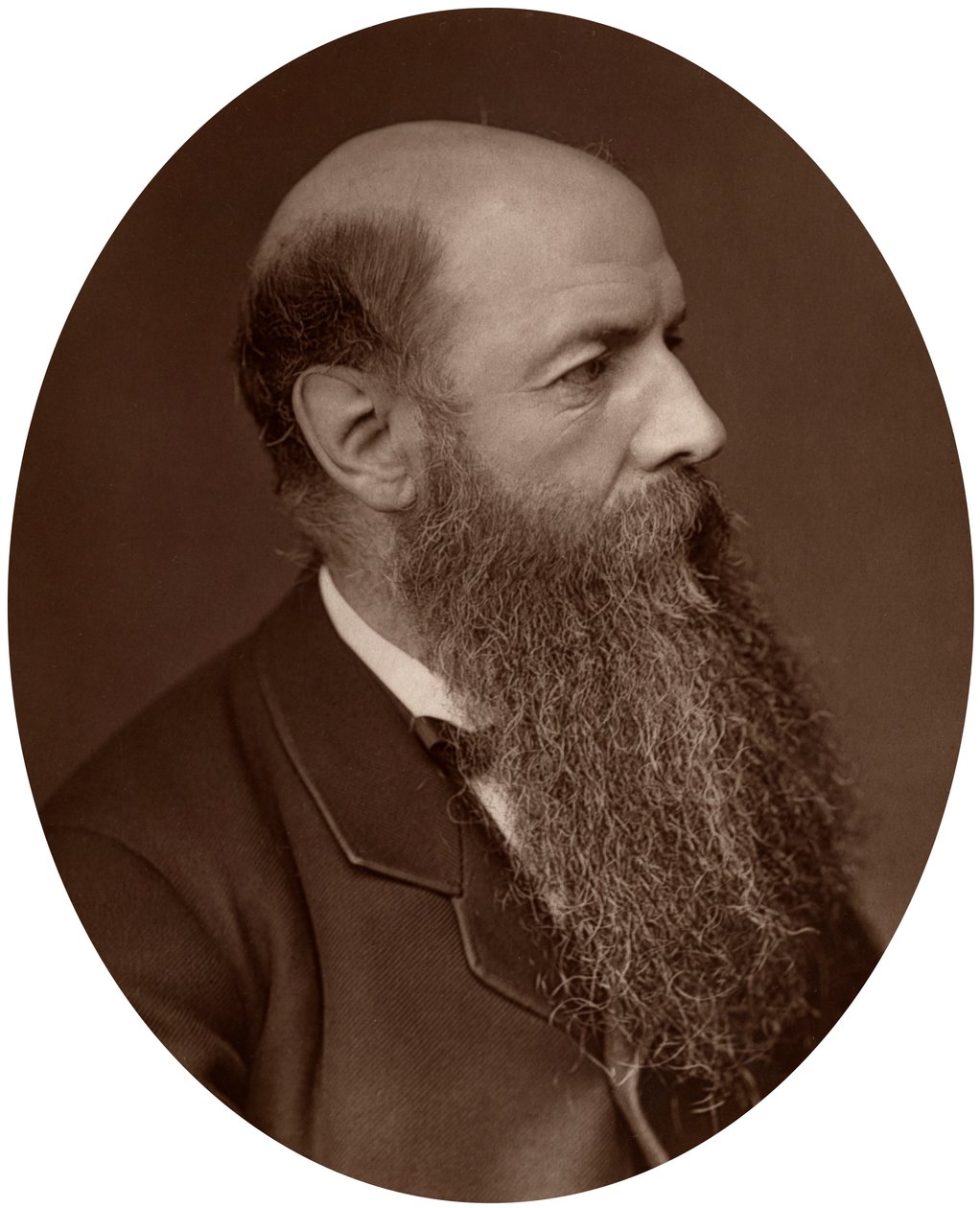 Sir Wilfrid Lawson, político, deputado de Carlisle, 1882. de Lock and Whitfield