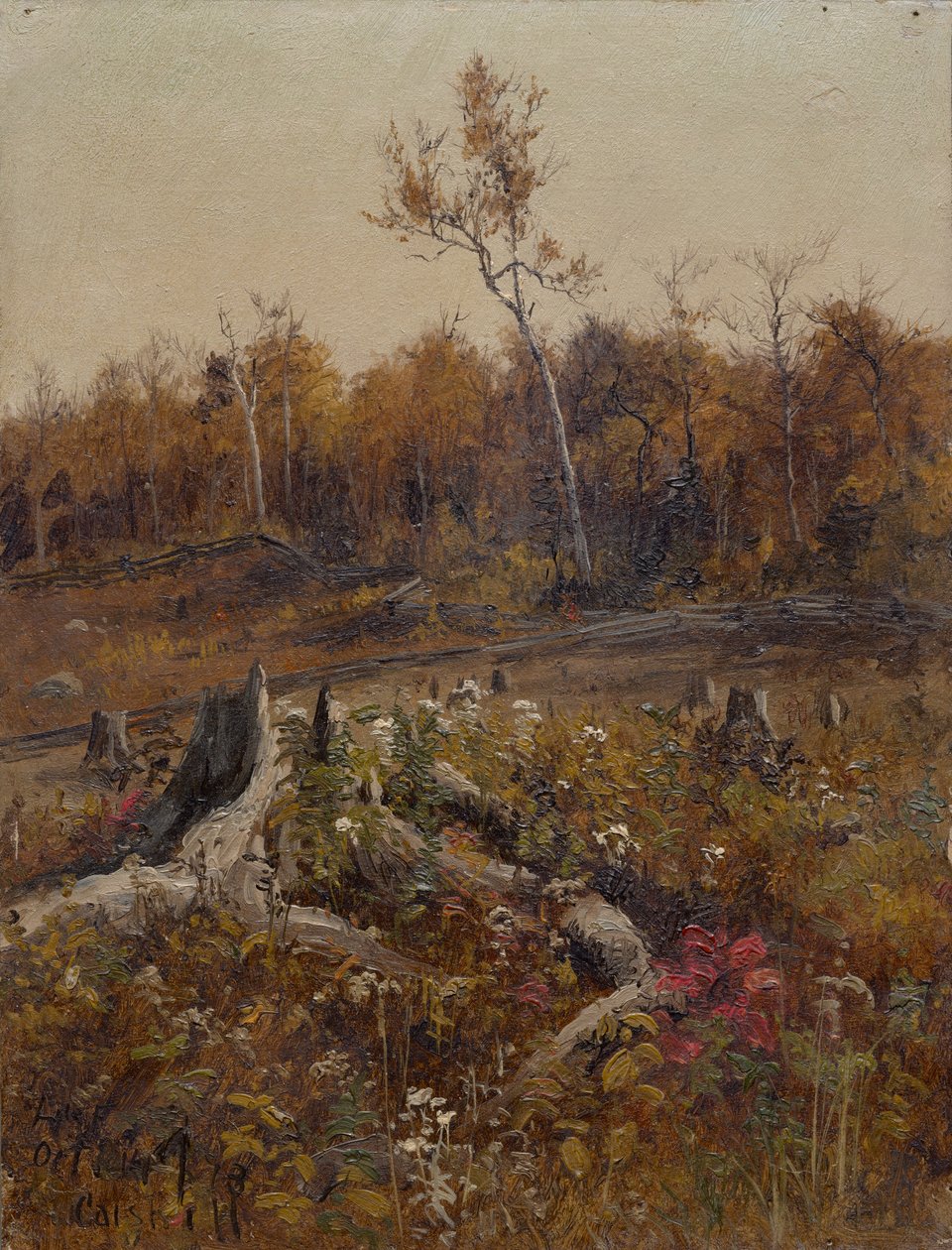 Paisagem de Lockwood de Forest