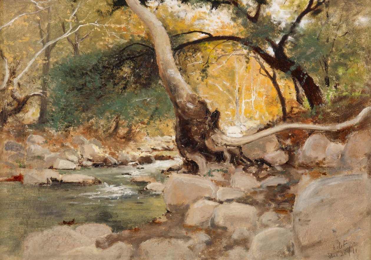 Mission Canyon, Santa Bárbara de Lockwood de Forest