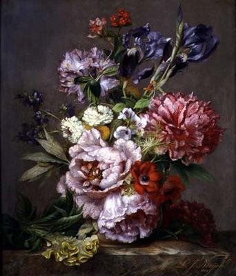 Imagem desconhecida de Lodewijk Johannes Nooijen