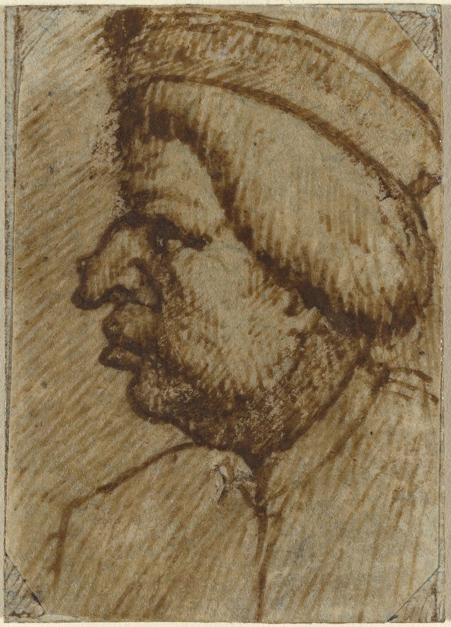 Perfil de um homem de Lombard 16th Century