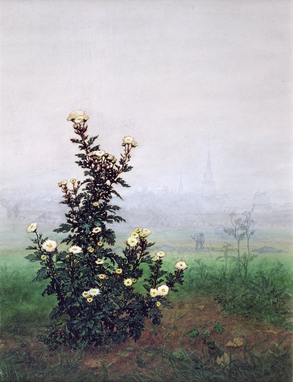 Crisântemo florido com trabalhador, 1863 (wc, guache, caneta e tinta sobre papel) de Léon Bonvin