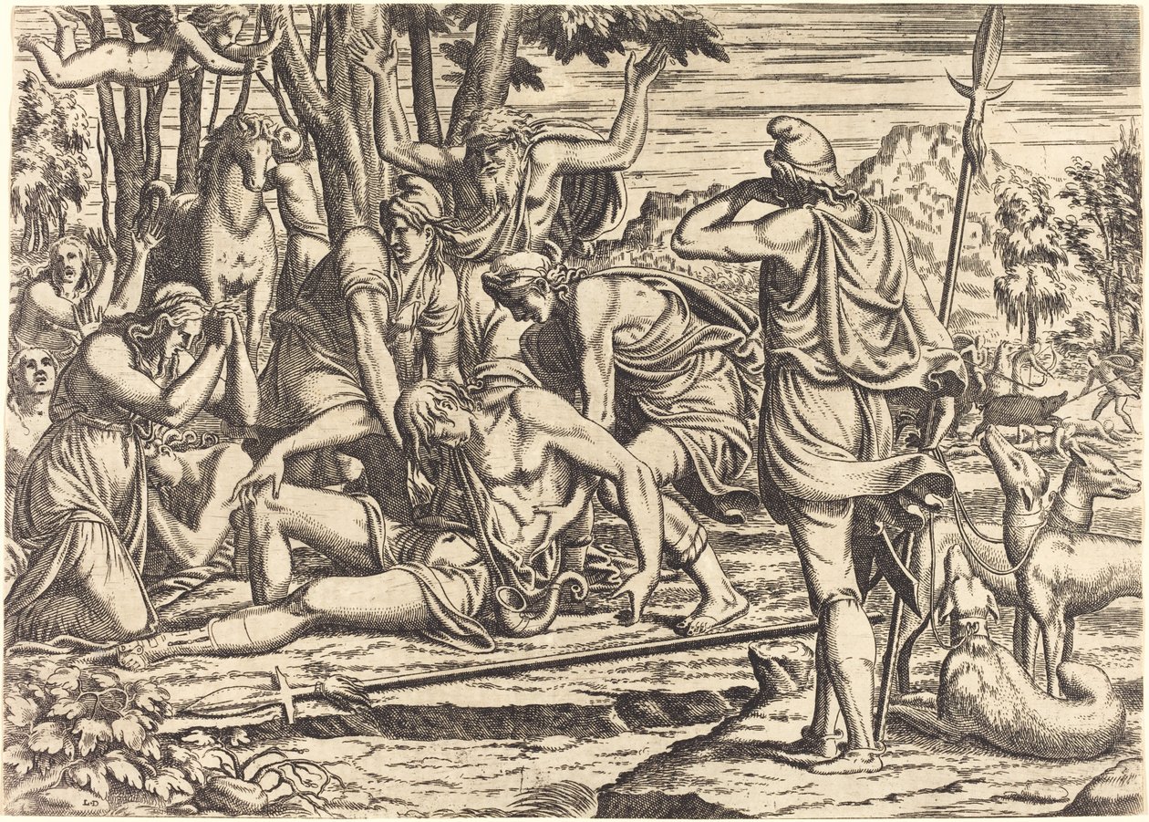 A Morte de Adônis de Léon Davent after Luca Penni