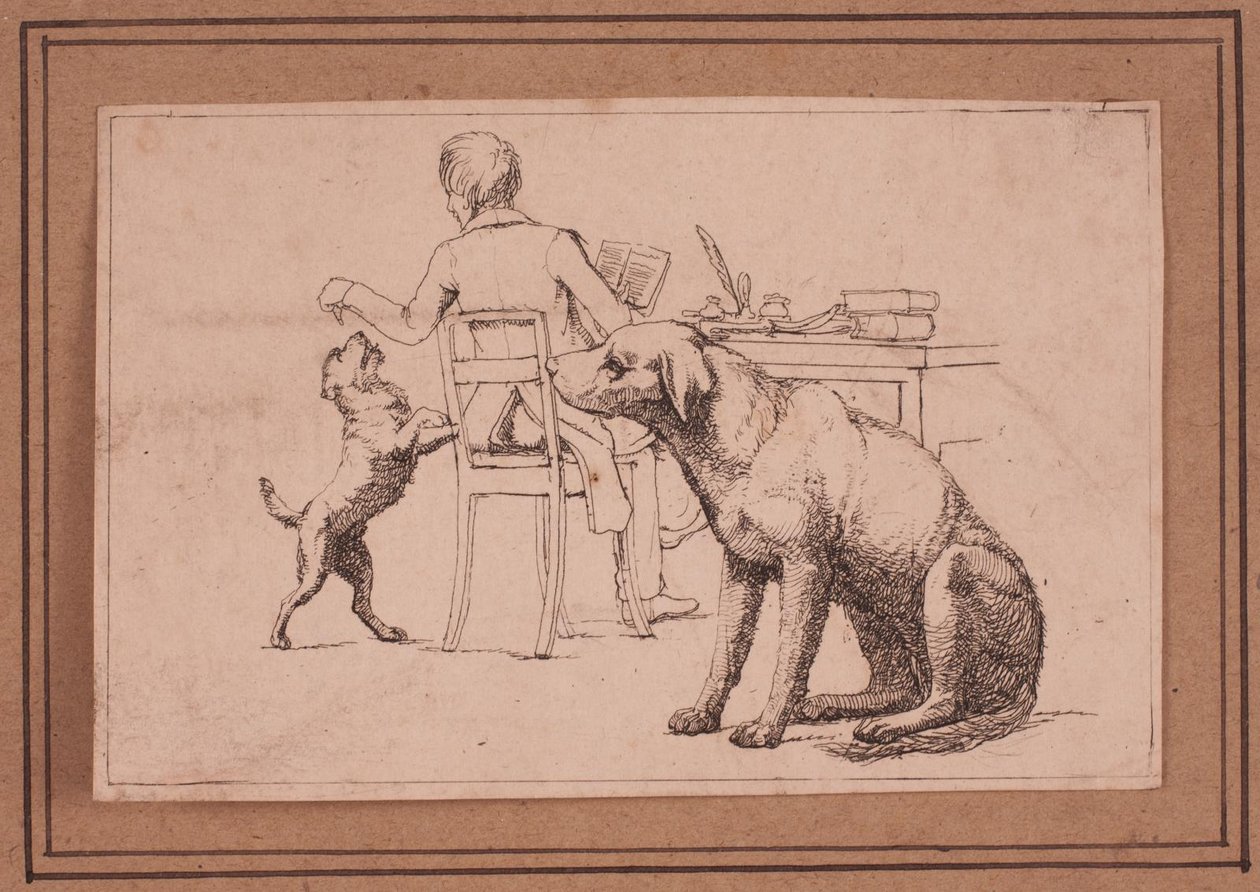 Imagem 7 da vida de um cão de Lorenz Frølich