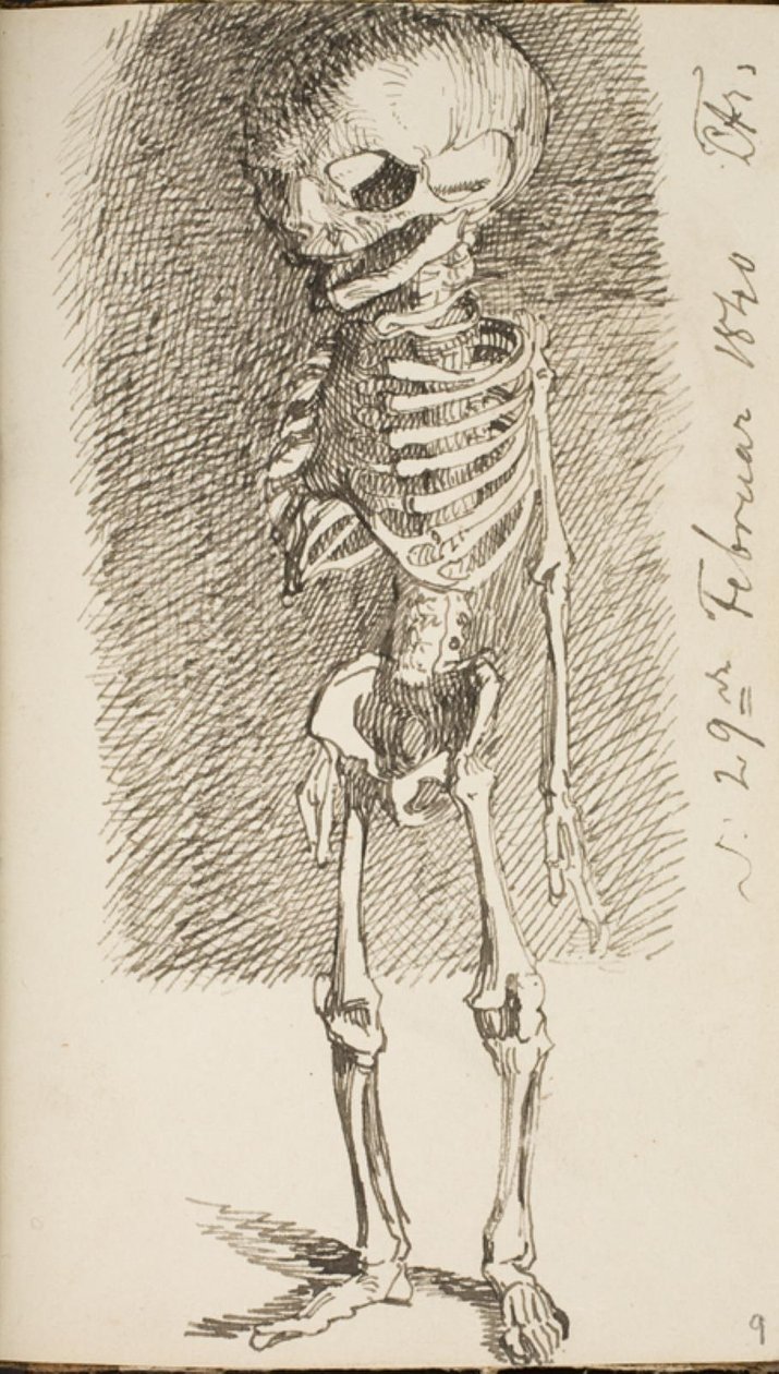 Esboço de um esqueleto em pé de Lorenz Frølich