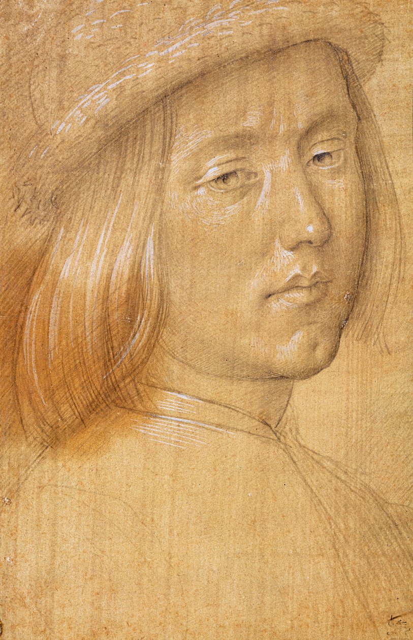 Chefe de uma Juventude de Lorenzo di Credi