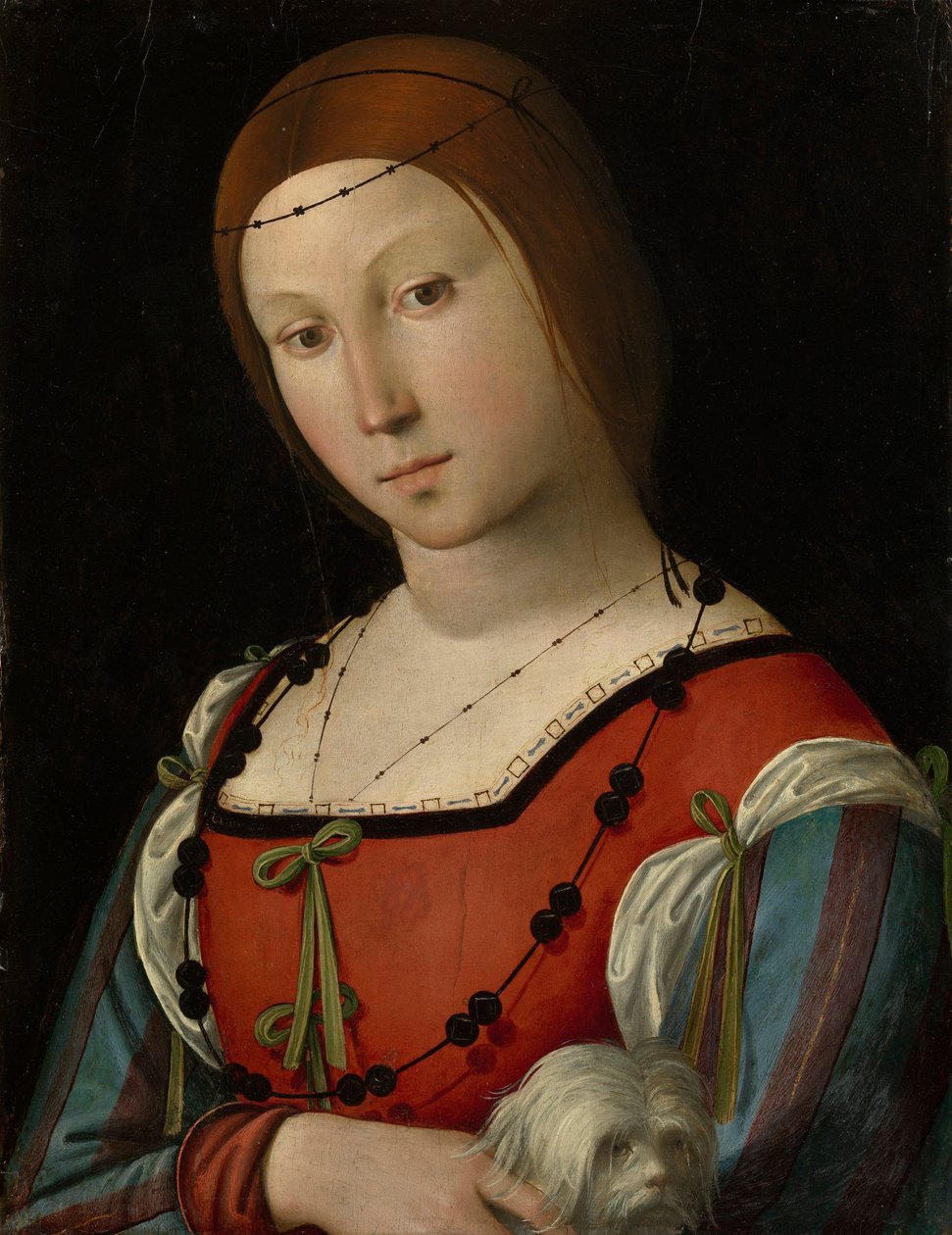 Retrato de uma senhora com um cãozinho de estimação de Lorenzo Costa