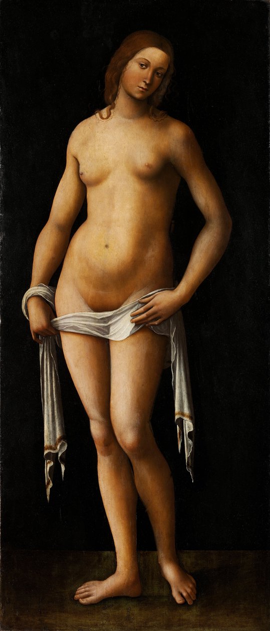 Venus - Peinture de Lorenzo Costa (1460-1535) - 1515-1517 - Óleo sobre madeira - 174x76 - Szepmuveszeti Muzeum, Budapeste, Hungria de Lorenzo Costa