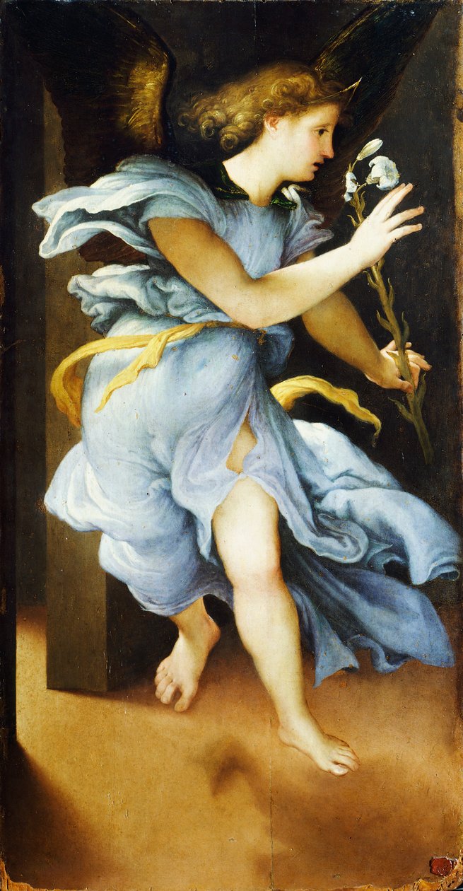 Anjo anunciador, cerca de 1525, por Lorenzo Lotto (1480 ca- 1556), óleo sobre painel, 82x42 cm de Lorenzo Lotto