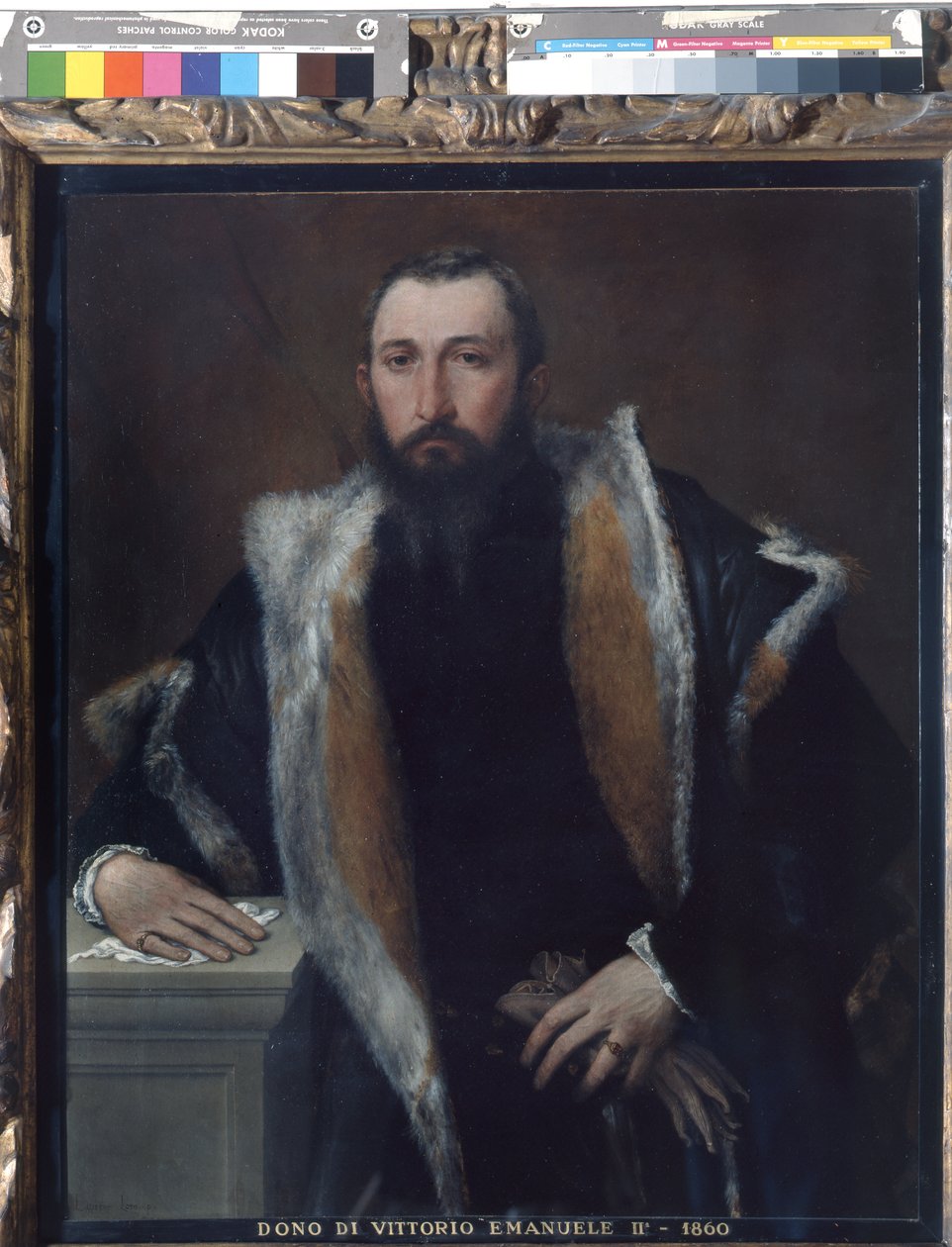 Retrato de Febo de Brescia de Lorenzo Lotto