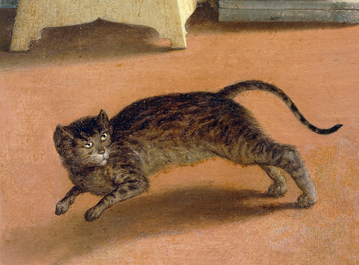 Gato aterrorizado, detalhe de Recanati Annunciation, ca 1534, de Lorenzo Lotto (1480-1556), óleo sobre tela de Lorenzo Lotto