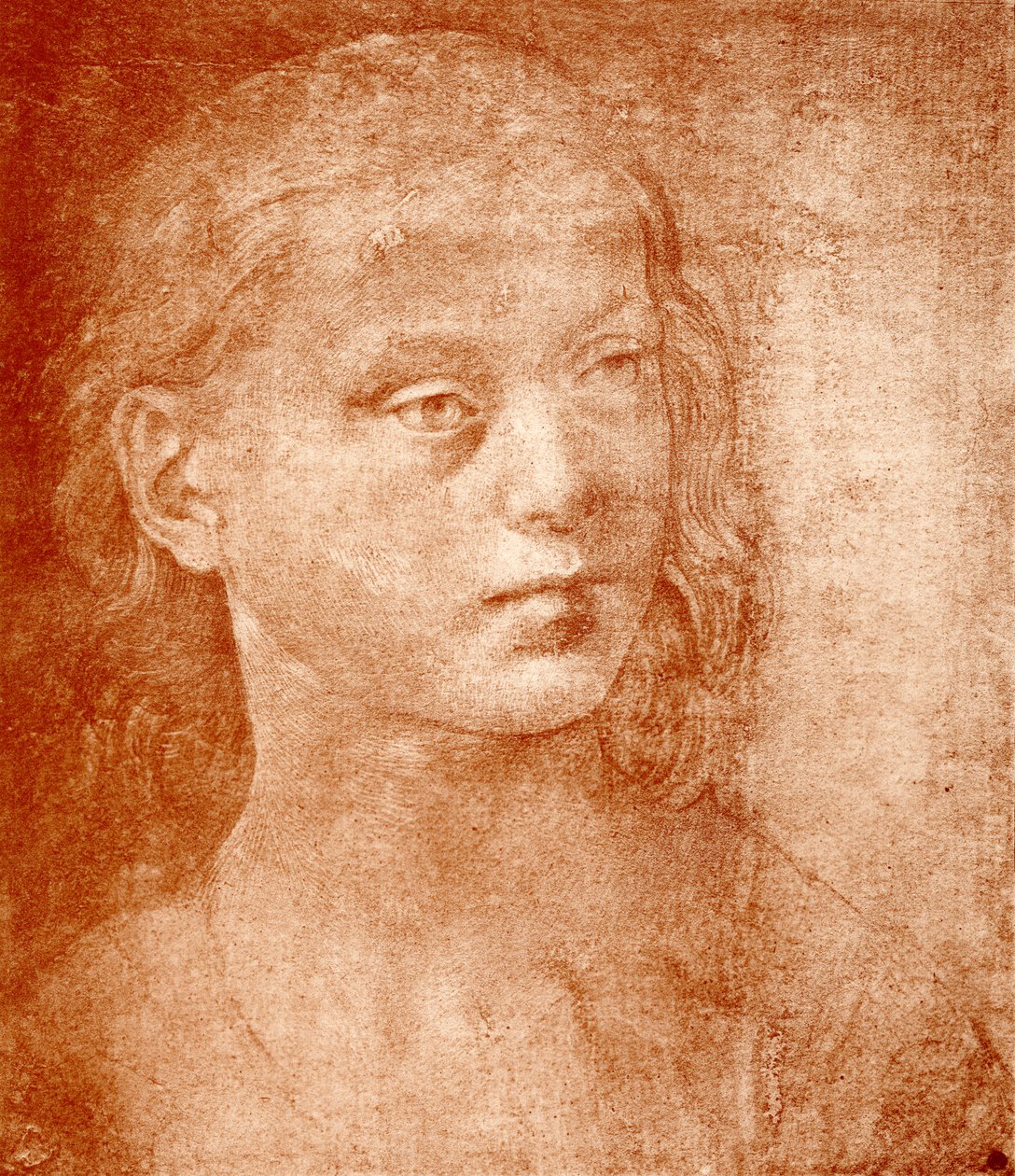 Cabeça das meninas de Lorenzo di Credi