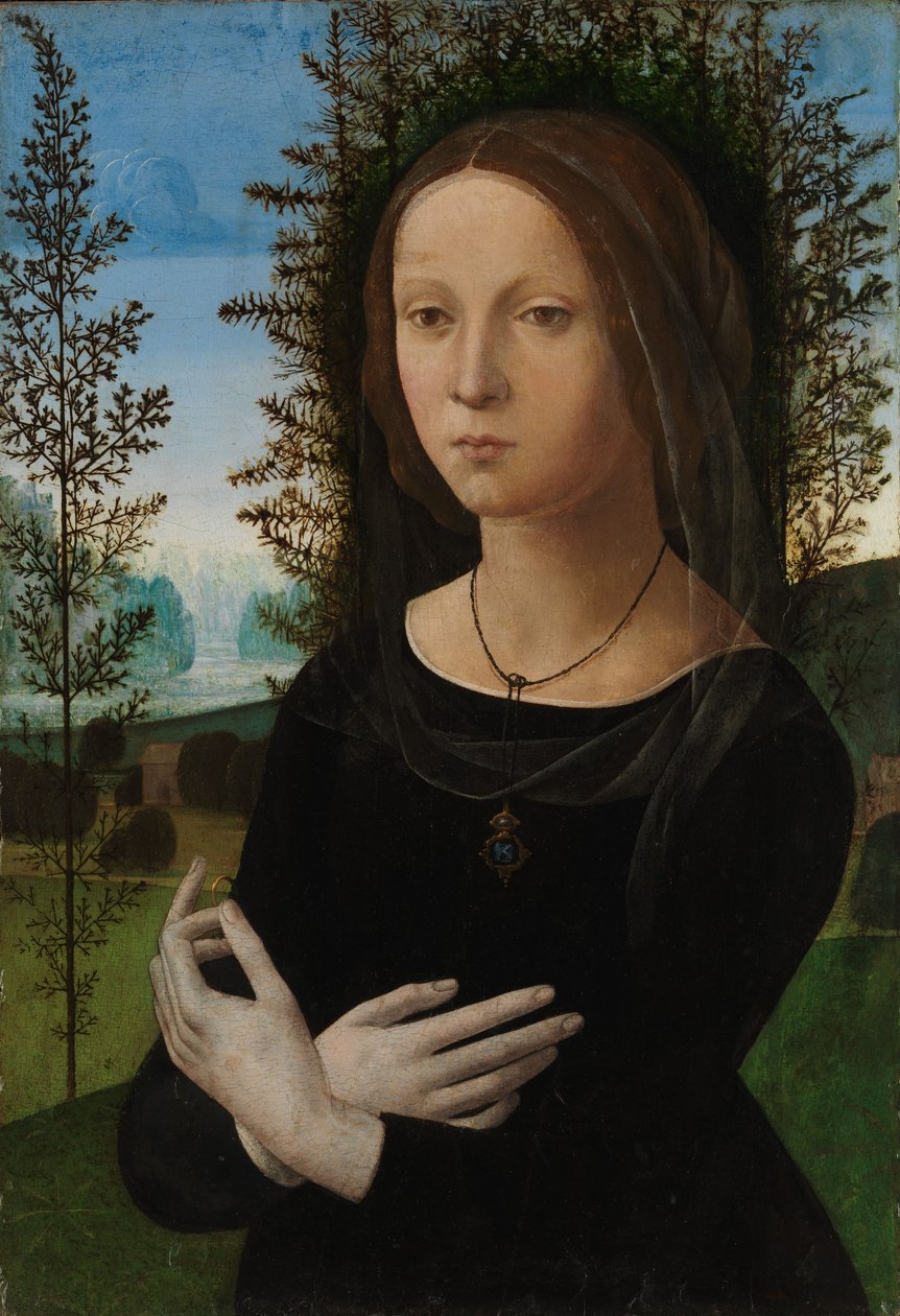 Retrato de uma jovem, c.1475-80 (óleo sobre madeira) de Lorenzo di Credi