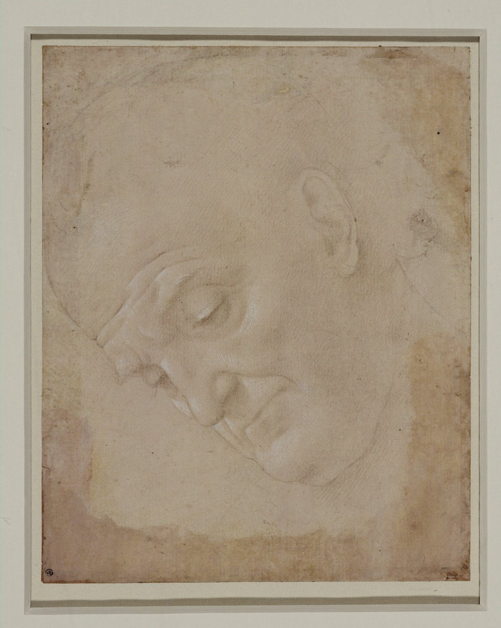 Retrato de um homem calvo, virado três quartos para a esquerda ... de Lorenzo di Credi