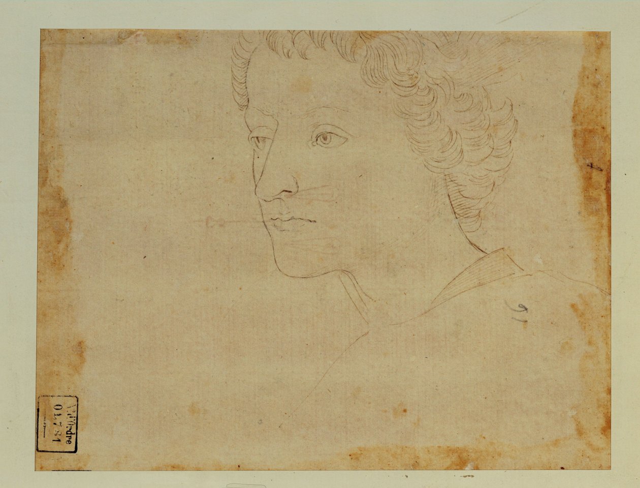 Retrato de um rapaz de cabelo encaracolado, três quartos para a esquerda ... de Lorenzo di Credi
