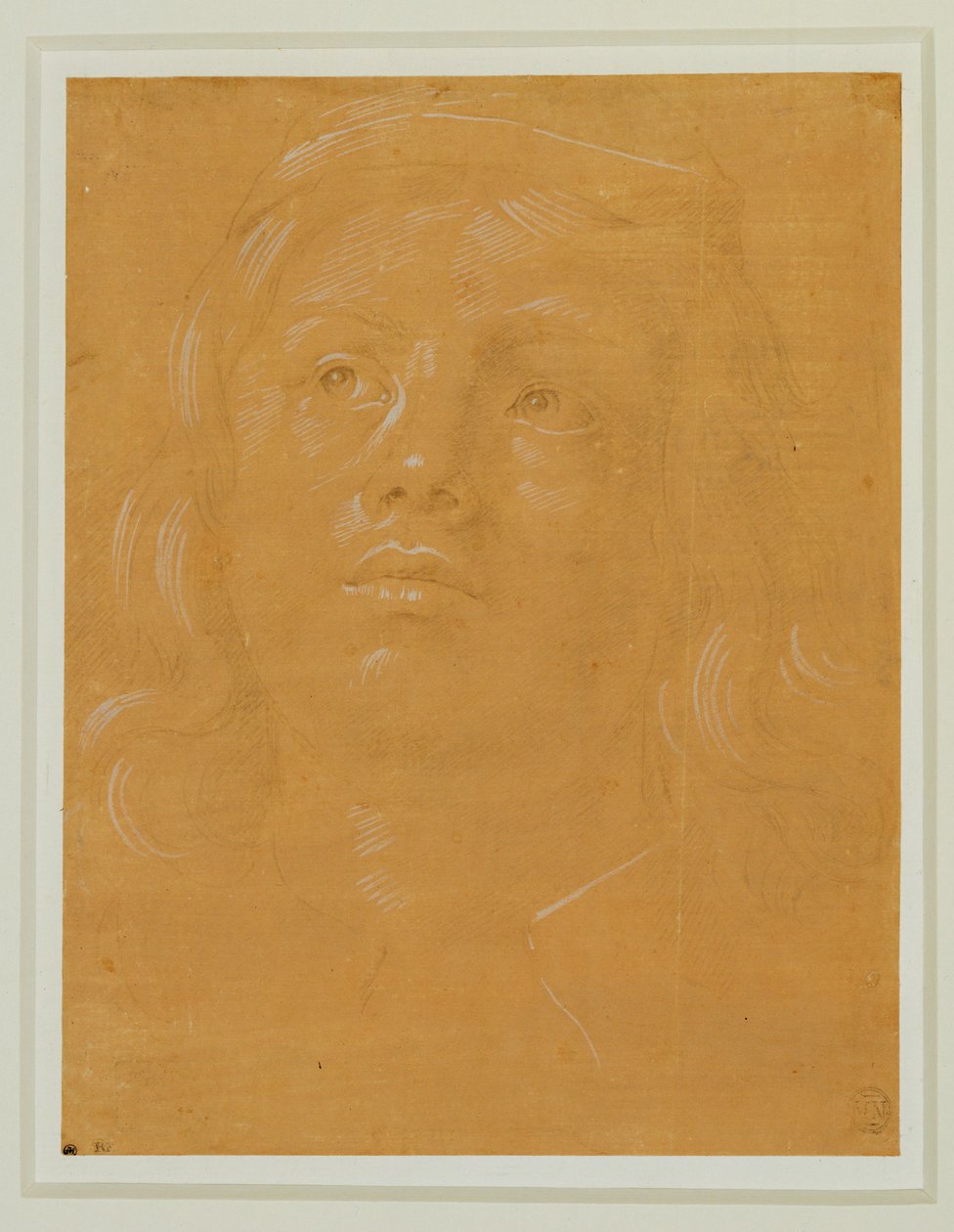 Retrato de um jovem, de rosto inteiro, olhando para cima ... de Lorenzo di Credi
