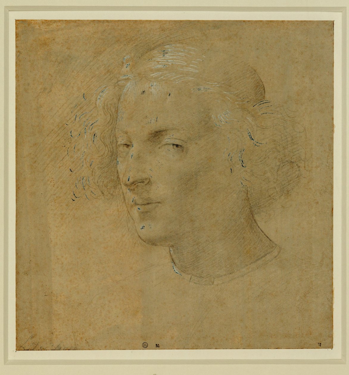 Retrato de um jovem com calota craniana ... de Lorenzo di Credi