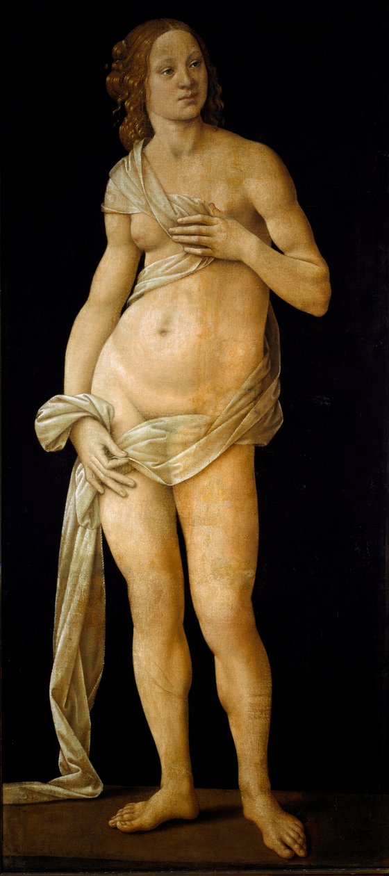 Vénus (tempera sobre madeira, c.1490) de Lorenzo di Credi
