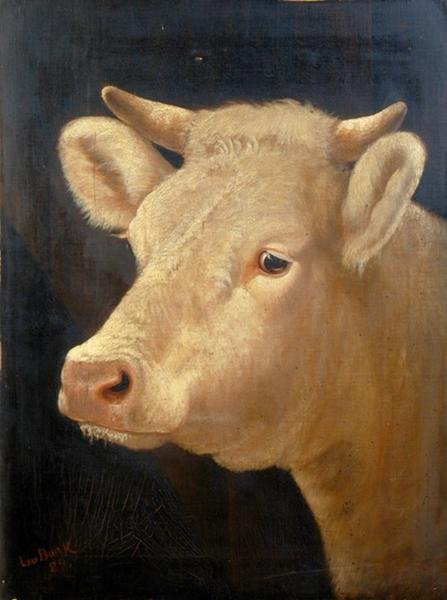 Cabeça de vaca de Lou Burk