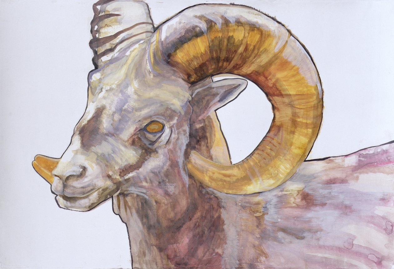 American Long Horn, 2004 (aquarela e acrílico sobre papel) de Lou Gibbs