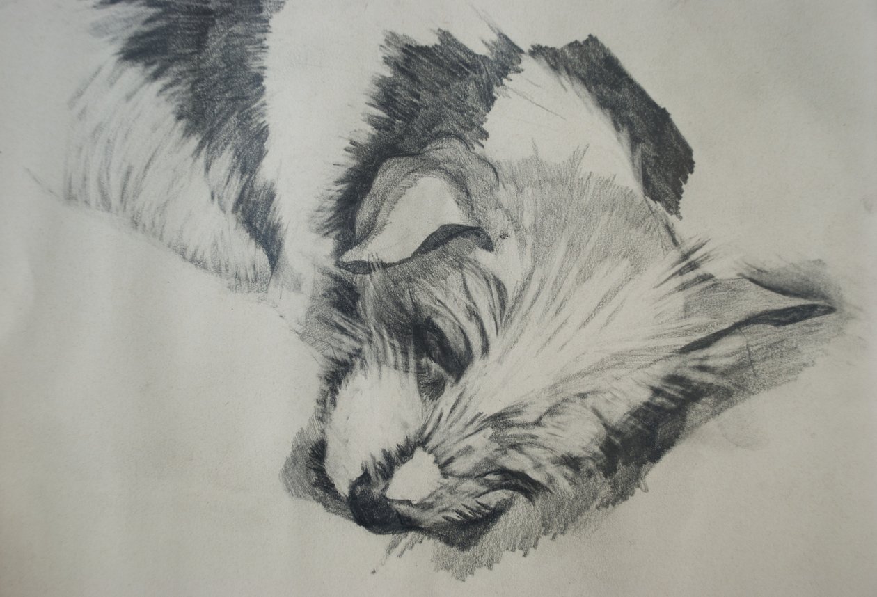 Jack Russel, 2015, de Lou Gibbs