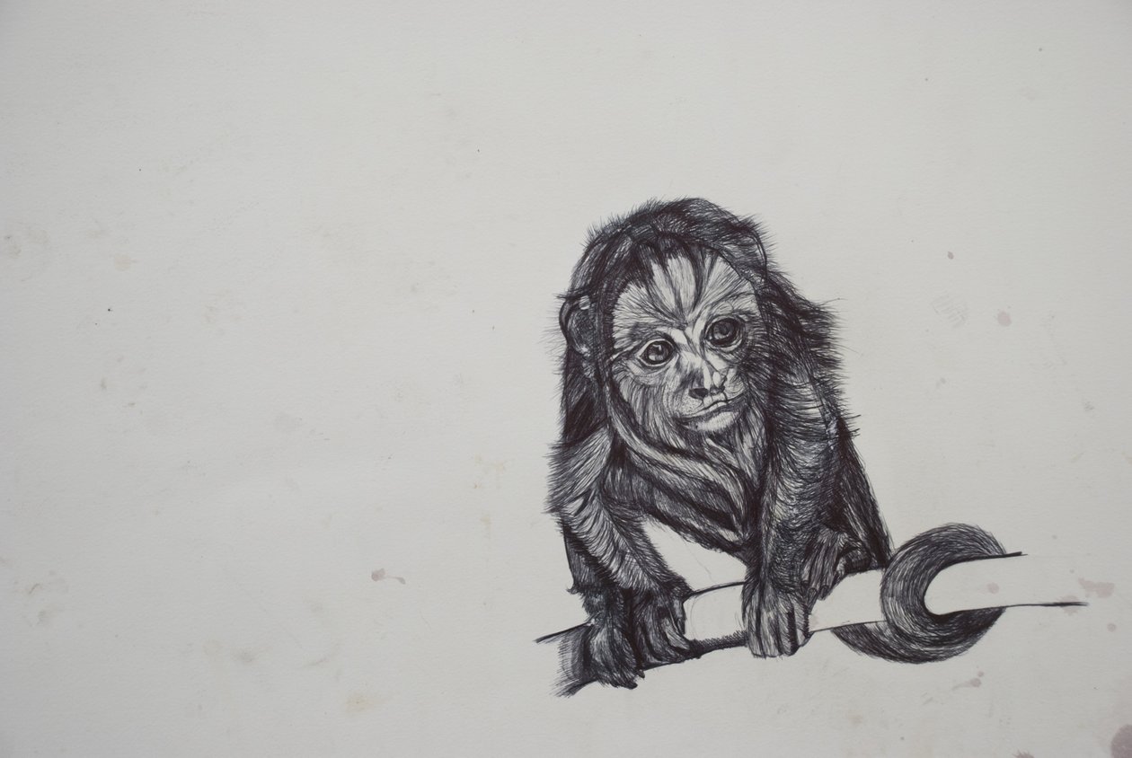 Monkey Business, 2016, (bic biro no papel) de Lou Gibbs