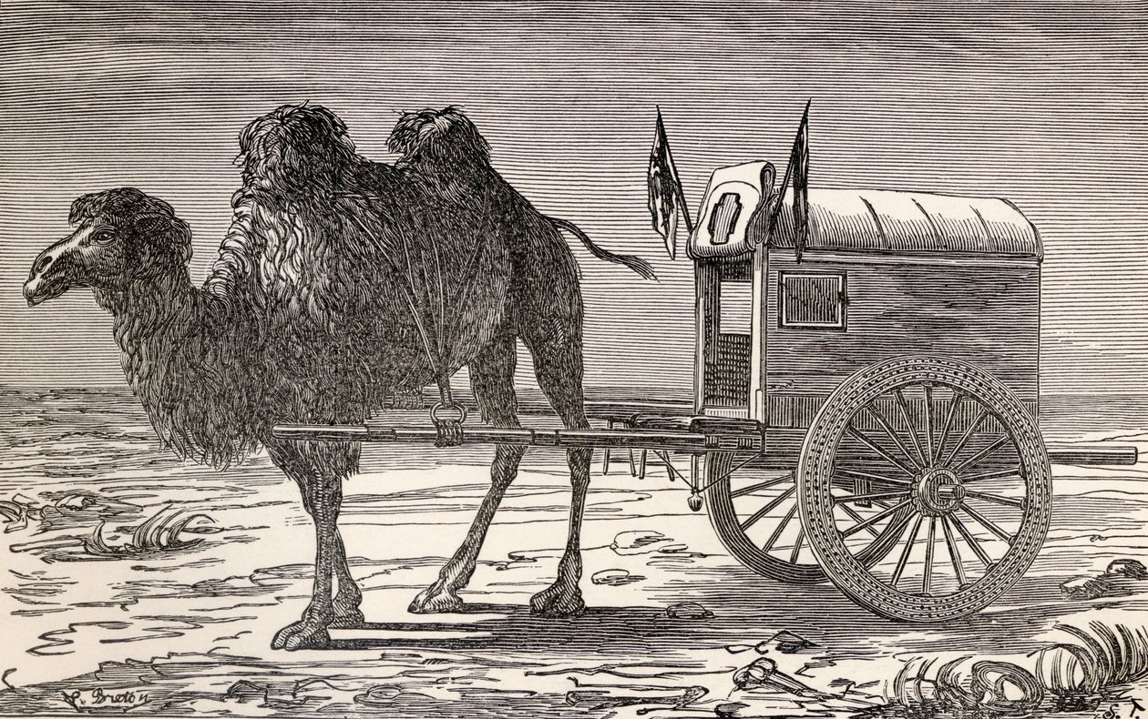 Um camelo puxando uma carruagem pelo deserto de Gobi, na Ásia, de "De Paris a Pequim sobre as Neves da Sibéria" de Victor Meignan, gravado por Smeeton-Tilly (Burne Smeeton (fl.1840-60) e Auguste Tilly (d.18 de Louis Breton