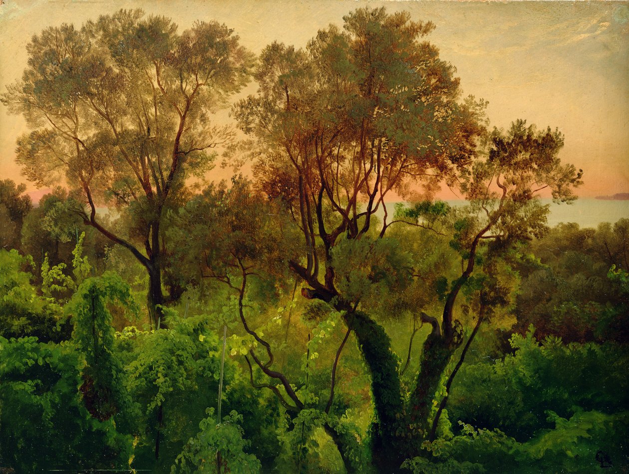 Inclinação com Oliveiras (óleo sobre papel no painel) de Louis Gurlitt