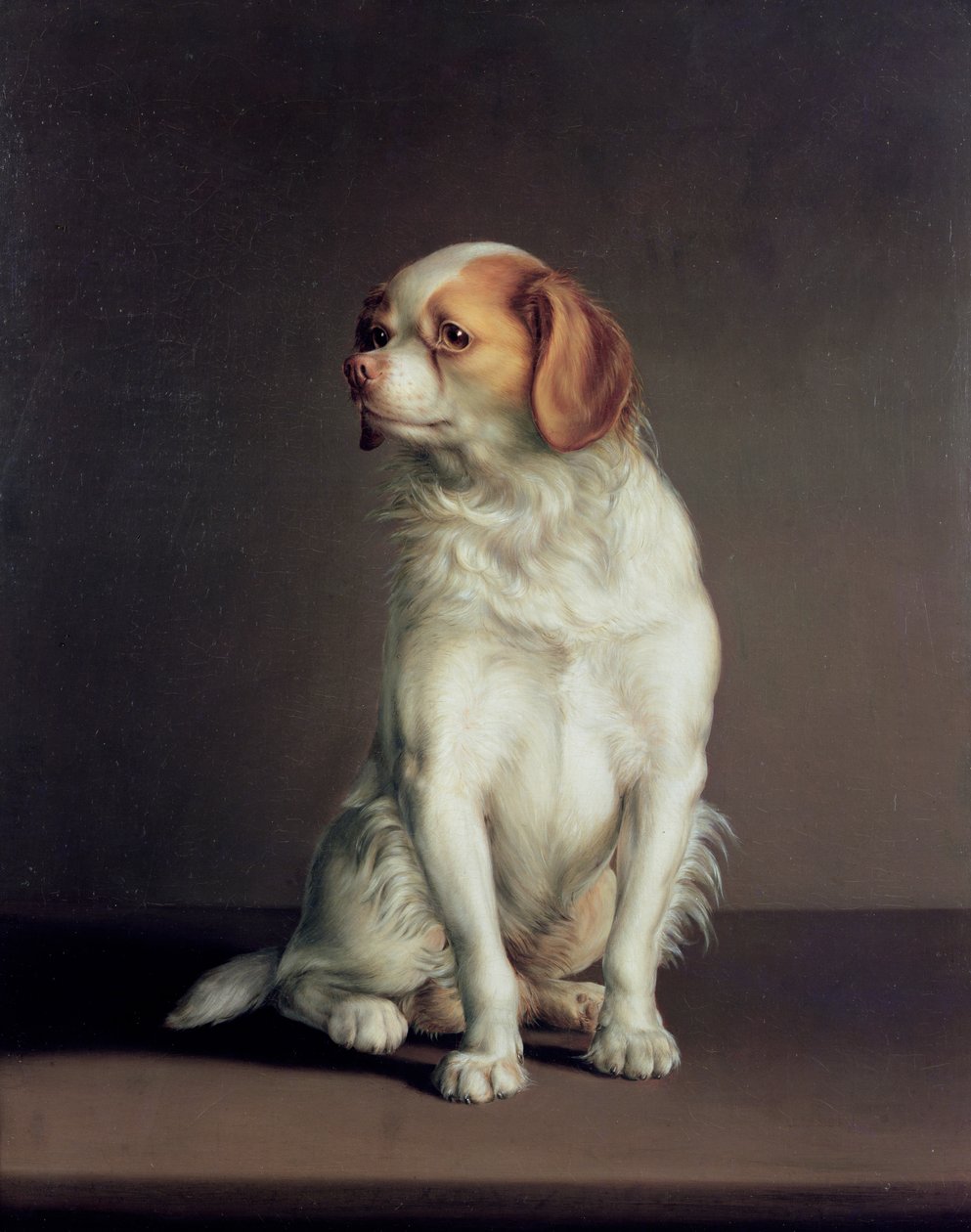 Retrato, de, um, rei charles, spaniel de Louis Leopold Boilly