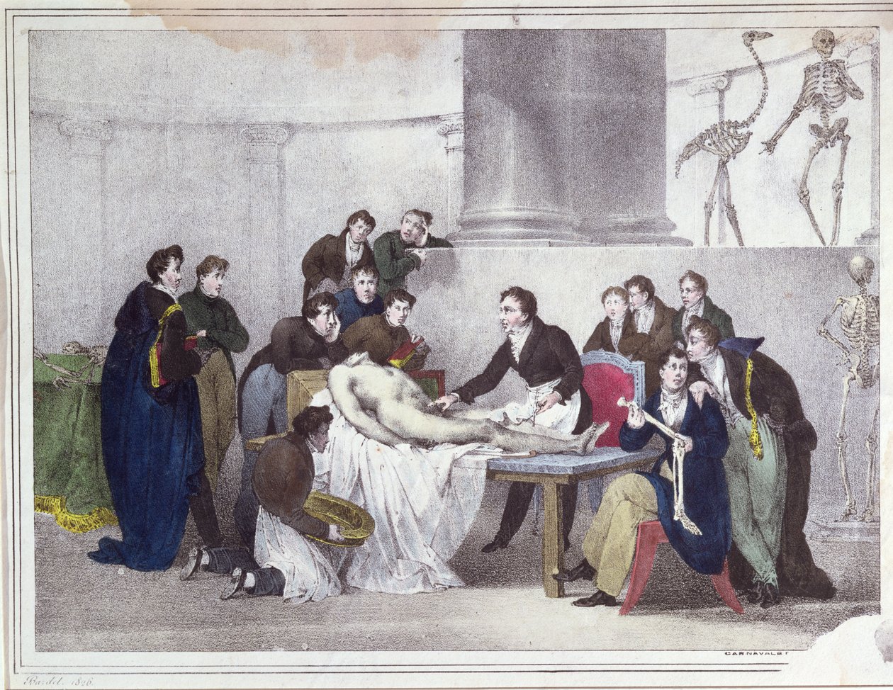 A lição da anatomia, 1826 de Louis Thomas Bardel