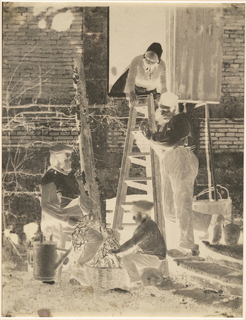 Os classificadores de feijão, c. 1857 (foto) de Louis Adolphe Baron Humbert de Molard