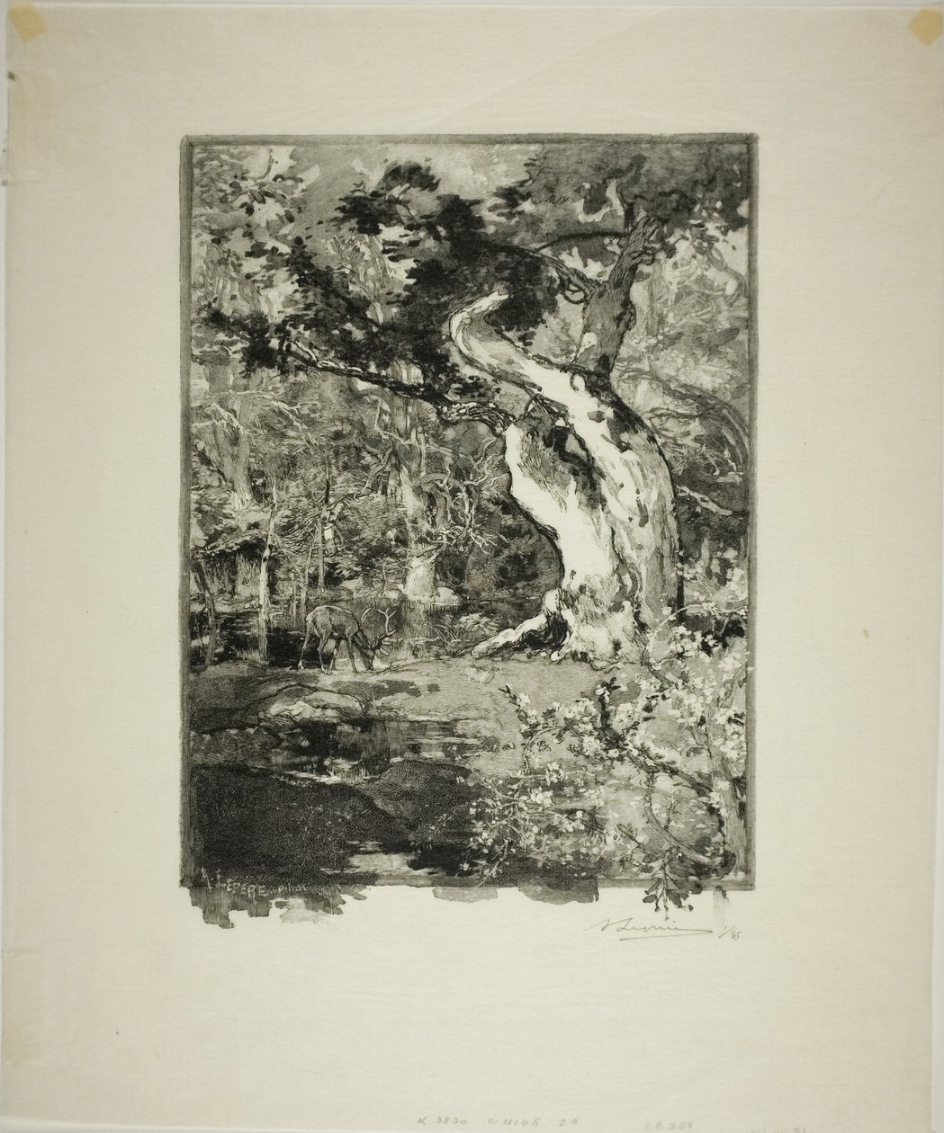 Le Clovis, Plateau de Bellecroix de Louis Auguste Lepère