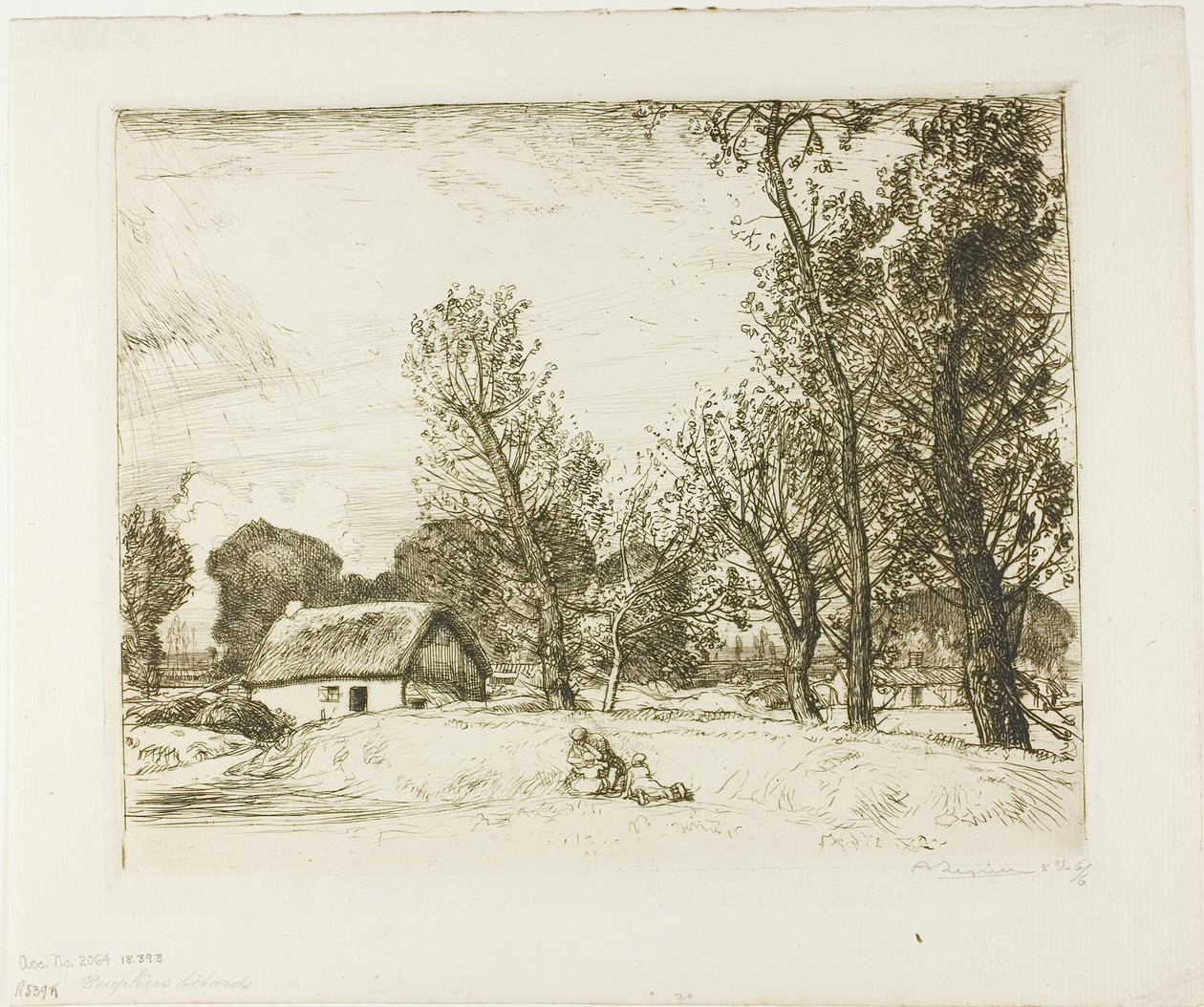 Choupos de Pollard de Louis Auguste Lepère