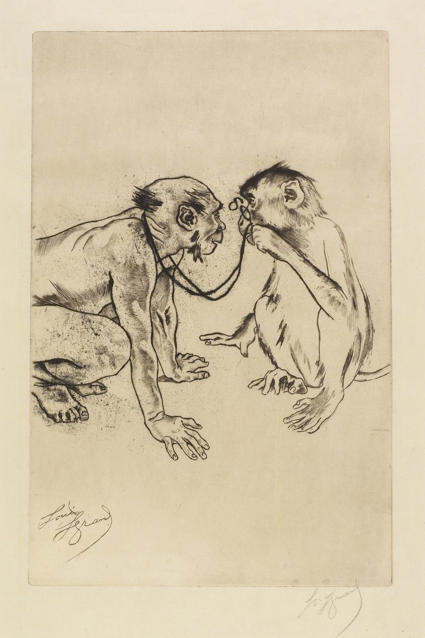 Anatomia comparativa de Louis Auguste Mathieu Legrand