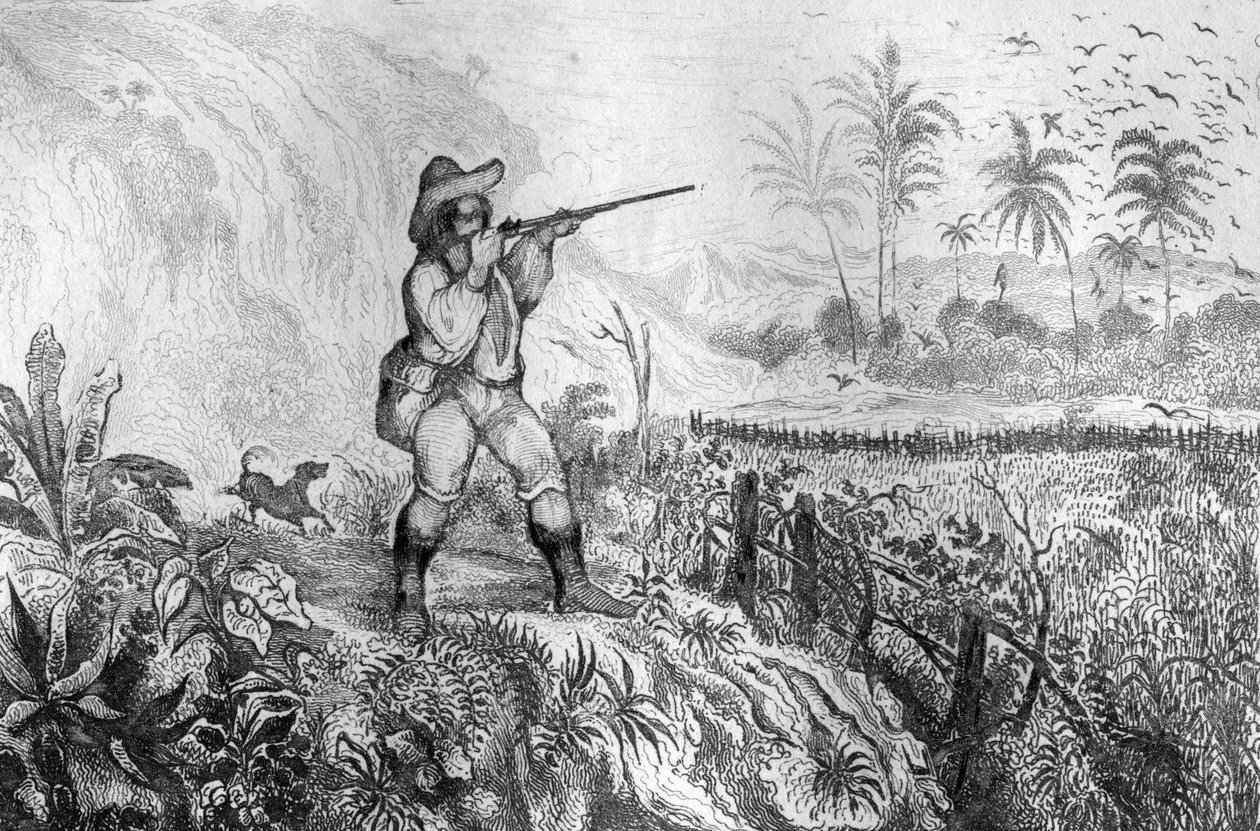 Eu matei três... gravuras após o desenho de M. de Sainson para o Livro de Daniel Defoe (De foe) "Robinson Crusoe" edição francesa de 1837. de Louis Auguste de Sainson