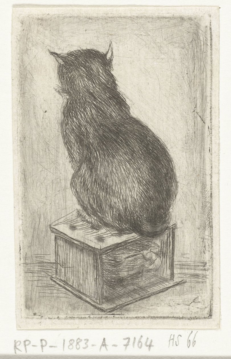 Gato sentado em um fogão de Louis Bernard Coclers