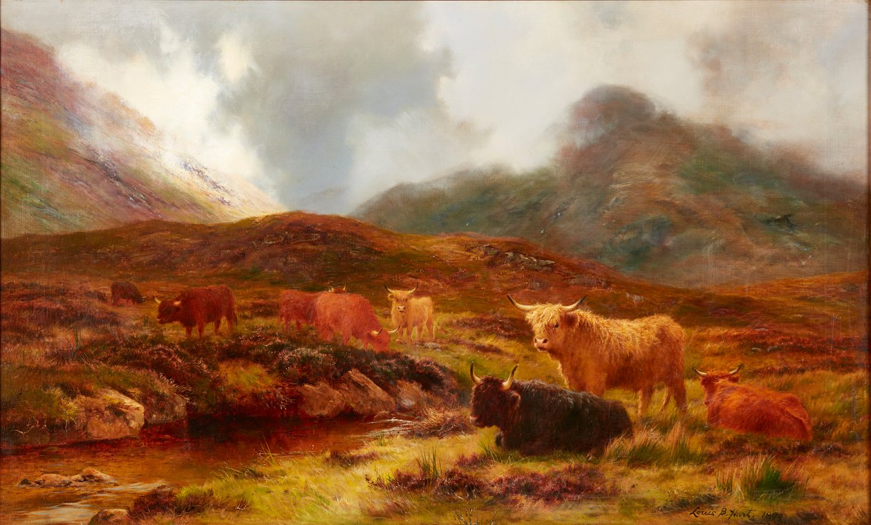 Moorland em Clachaig, Glencoe (óleo sobre tela) de Louis Bosworth Hurt