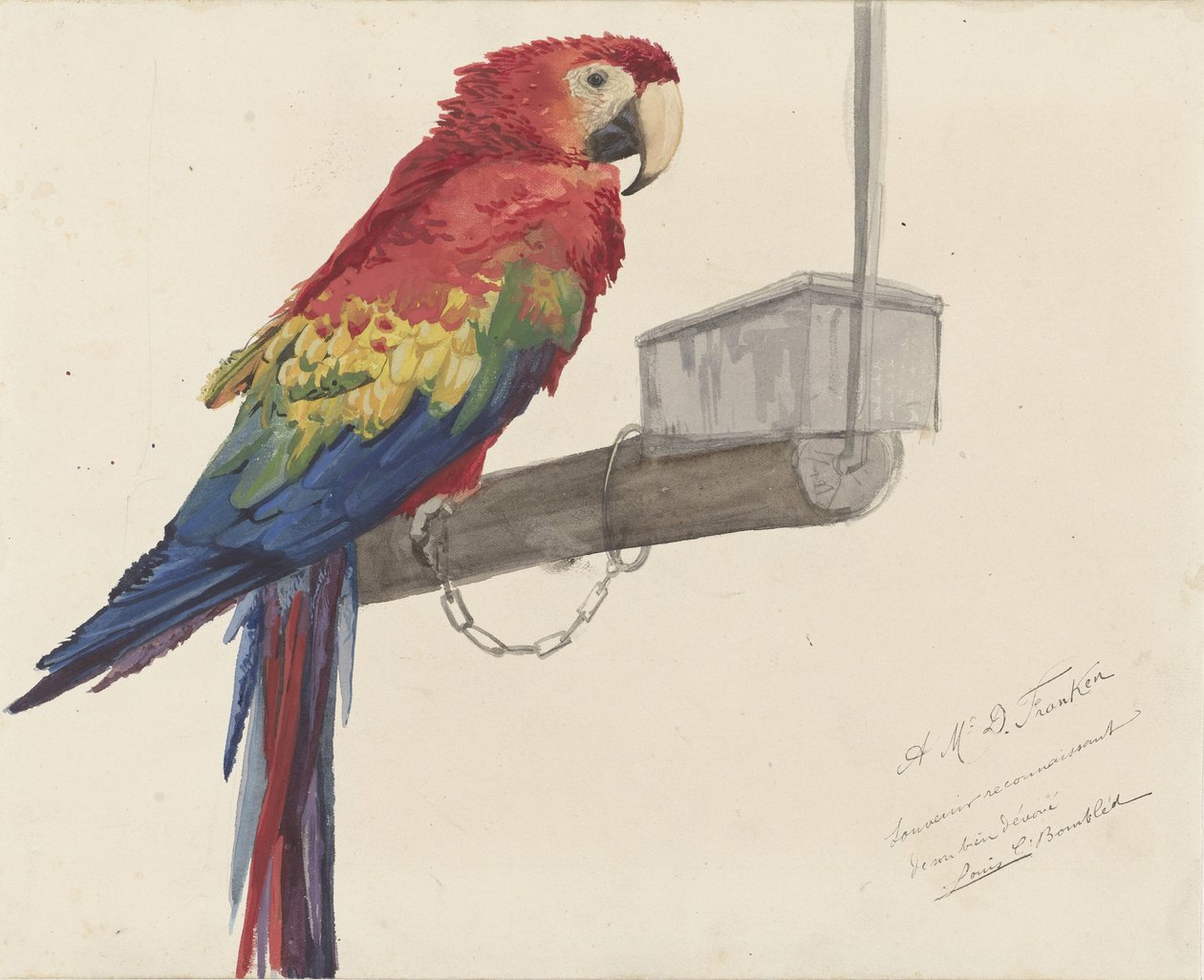 Parrot de Louis Charles Bombled