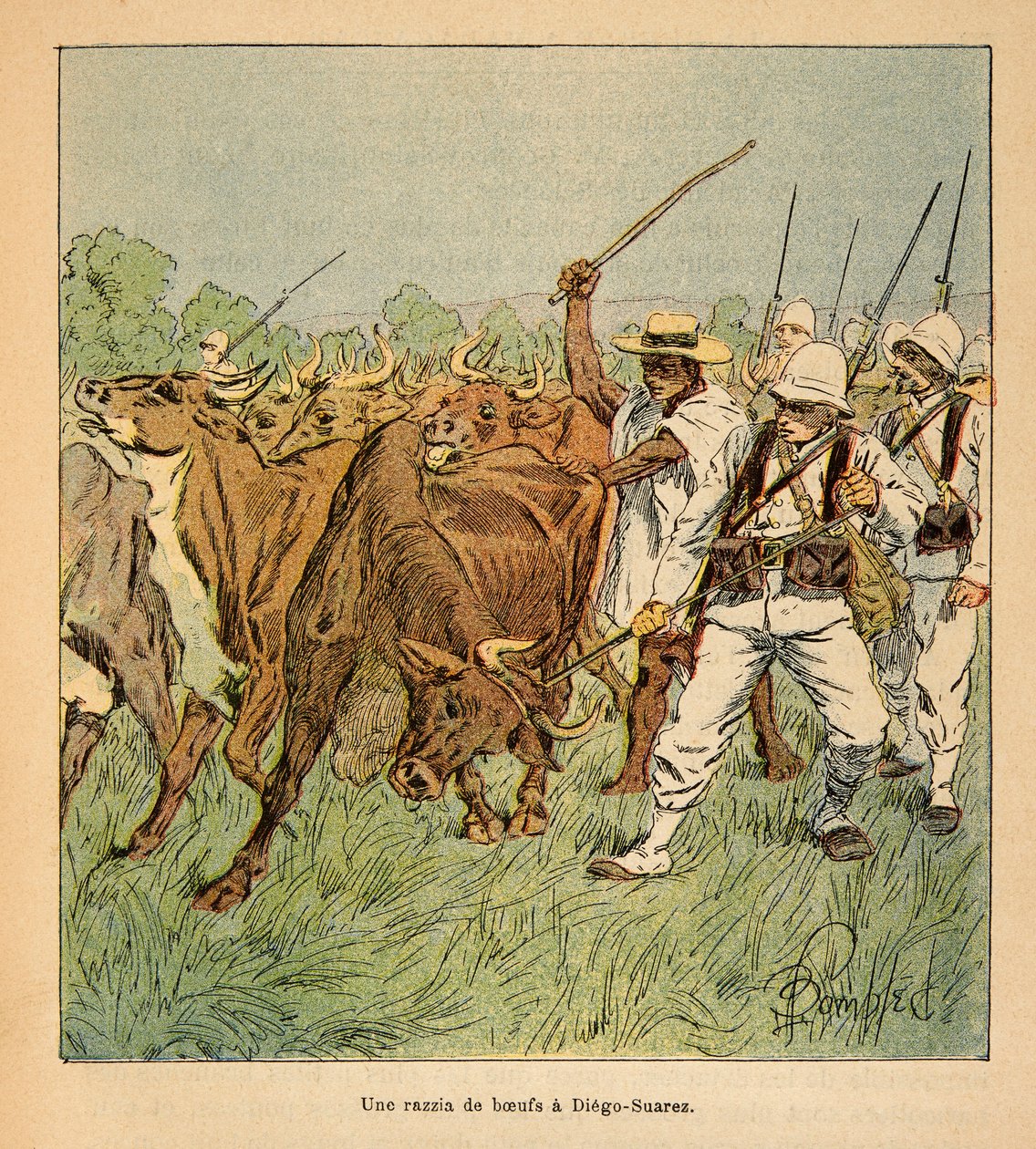 A Guerra em Madagáscar - História das Expedições Francesas de 1885-1895 por Henri Galli dit Galllichet (1854-1922), ilustrada por Louis Bombled (1862-1927): Em Diego-Suarez, o exército francês exige bois, coleção privada de Louis Charles Bombled