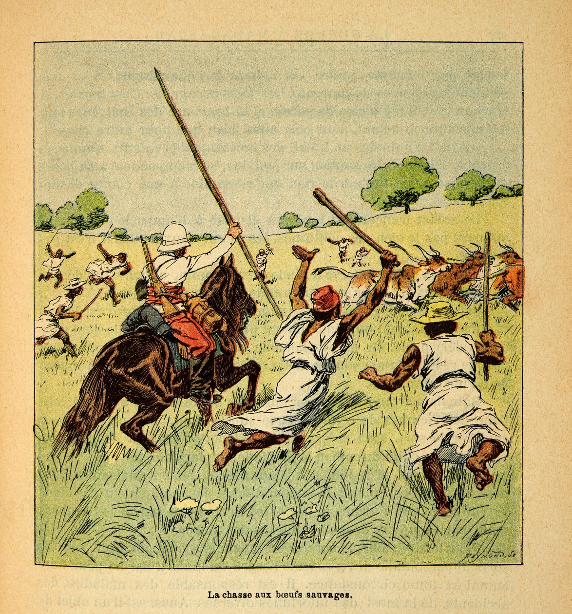 A Guerra em Madagáscar - História das Expedições Francesas de 1885-1895 por Henri Galli dit Galllichet (1854-1922), ilustrada por Louis Bombled (1862-1927): A caça de bois selvagens em Madagáscar em 1895, Coleção Particular de Louis Charles Bombled