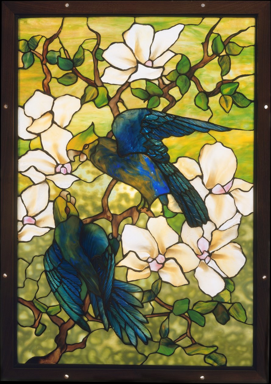 Hibiscus e papagaios, c.1910-20 (vidro fravile leaded) de Louis Comfort Tiffany
