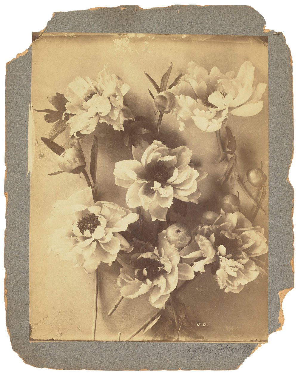 Tiffany Studios, c.1898-1920 (fotografia a preto e branco) de Louis Comfort Tiffany