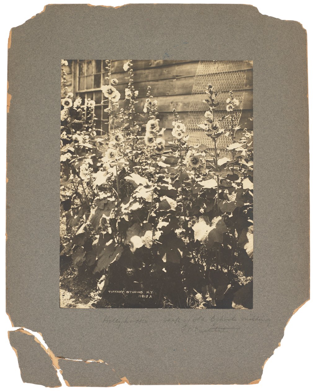 Tiffany Studios, c.1898-1920 (fotografia a preto e branco) de Louis Comfort Tiffany