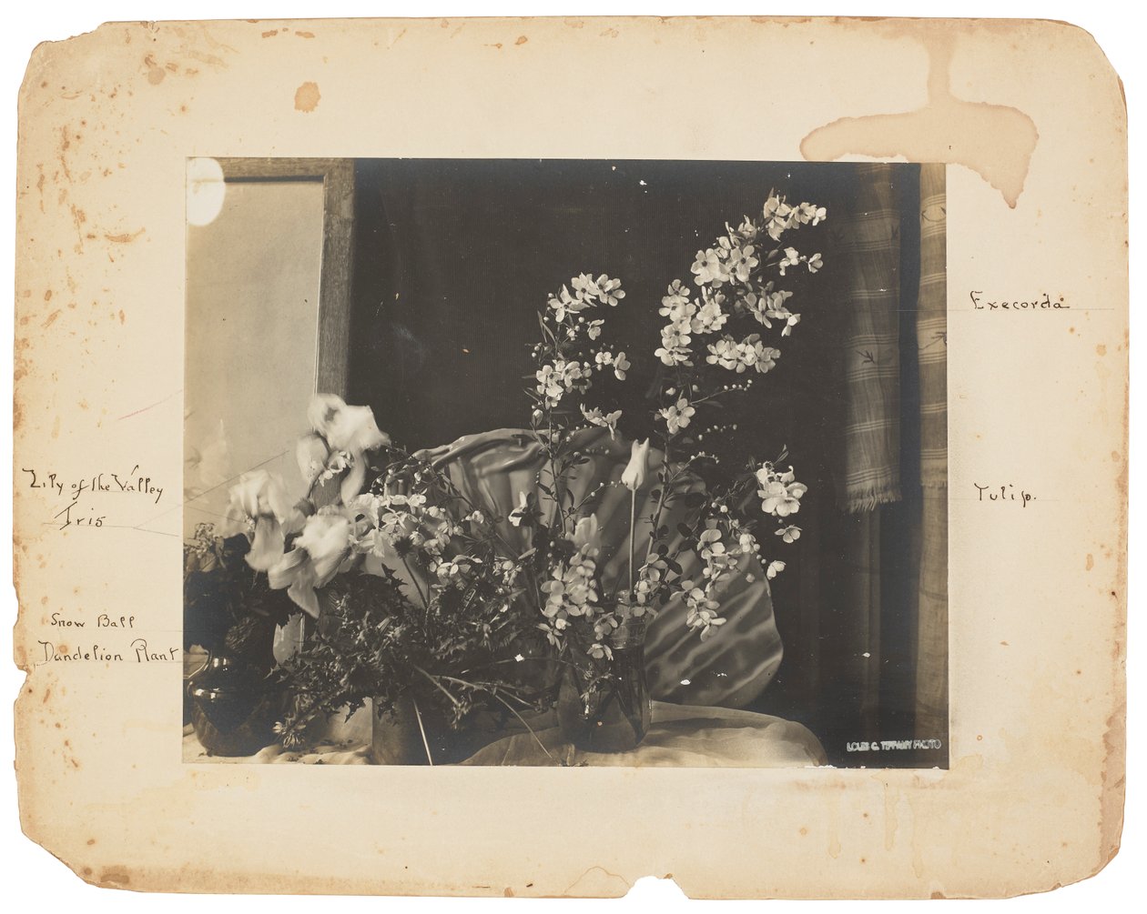 Estúdios Tiffany, c.1898-1920 (fotografia a preto e branco) de Louis Comfort Tiffany