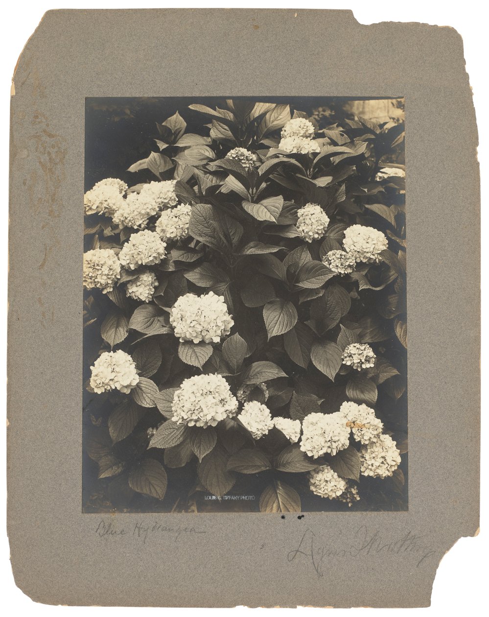 Estúdios Tiffany, c.1898-1920 (fotografia a preto e branco) de Louis Comfort Tiffany